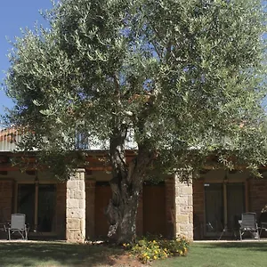 https://casal-lluent.in-sardinia.net